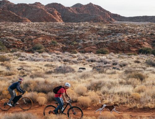 Are eBikes Allowed In Moab?