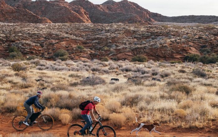 Are Ebikes Allowed In Moab?